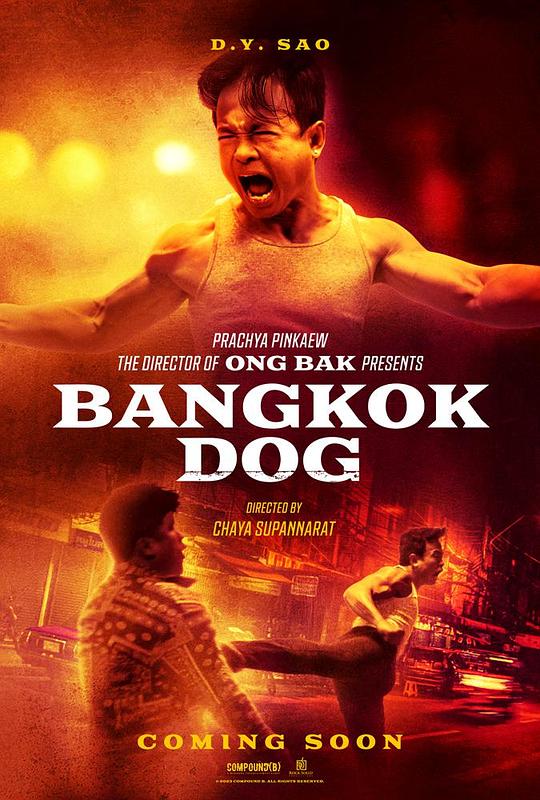 曼谷战狼[中文字幕].Bangkok.Dog.2024.1080p.WEB-DL.AAC.H264-ParkHD 2.35GB