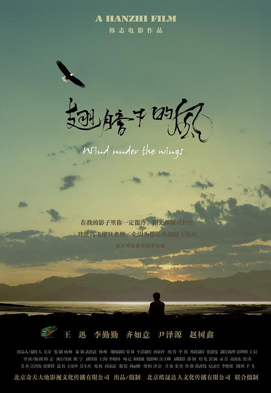 翅膀下的风[60帧率版本][国语配音/中文字幕].Wind.Under.The.Wings.2010.2160p.WEB-DL.AAC.H265.60fps.HDR-ParkHD 5.82GB