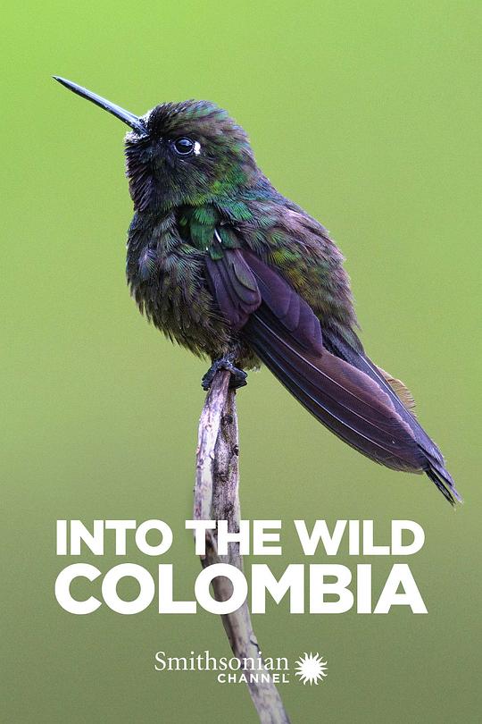 走进野外：哥伦比亚[全05集][中文字幕].Into.the.Wild.Colombia.S01.2018.1080p.WEB-DL.AAC.H264-ParkTV 3.