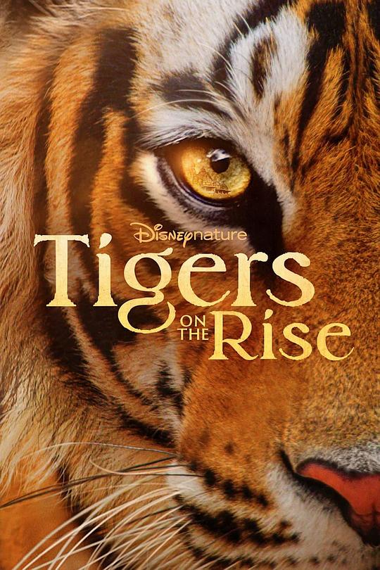 老虎崛起[杜比视界版本][简繁英字幕].Tigers.on.the.Rise.2024.2160p.DSNP.WEB-DL.DDP5.1.H265.DV-ParkHD 8.82GB